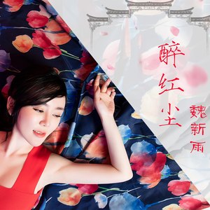 醉红尘 (DJ沈念版)封面