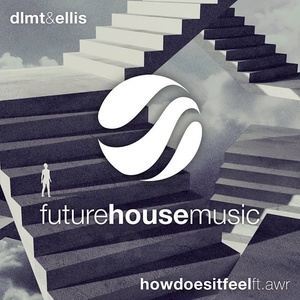 How Does It Feel (Extended Mix)