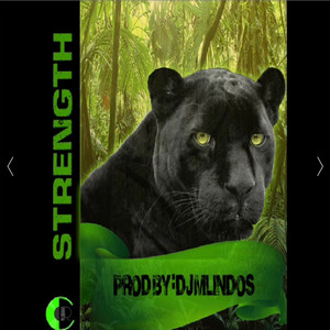 Strength (Original Mix)