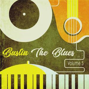 Bustin the Blues, Vol. 5