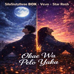 Okae wa pelo yaka (feat. Vevo & Star Rosh)
