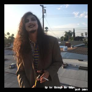 Tip Toe Through the Tulips