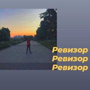 ревизор