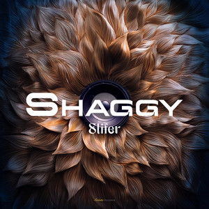 Shaggy (Explicit)