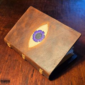 Observer Effect (feat. Paranoah & theworstperson) (Explicit)