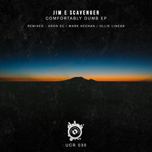 Delusional Interpretations (Mark Neenan Remix)