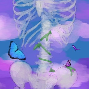 butterflies