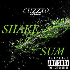 Shake Sum (Remix)