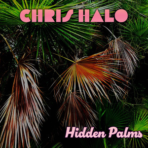 Hidden Palms