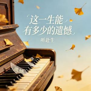 这一生能有多少的遗憾 (女声版伴奏)