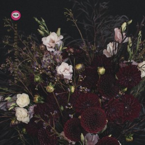 Thanks (Explicit)