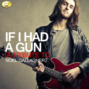 If I Had A Gun