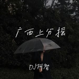 DJ阿智 - 广西2号