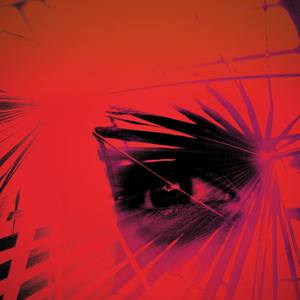 Never In Love (Explicit)