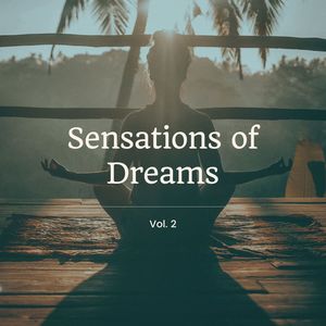 Sensations of Dreams Vol. 2