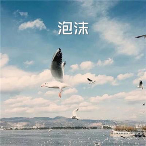 青花瓷