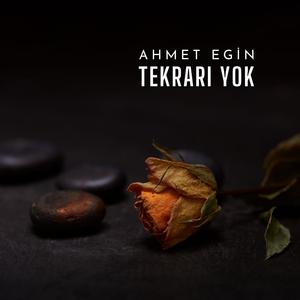Tekrarı Yok