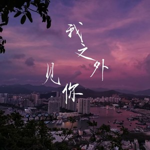 我之外见你