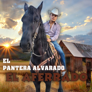 EL PANTERA ALVARADO - Mil Historias