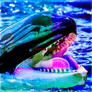 Status Update (Explicit)