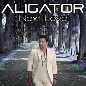 The Perfect Match (feat. Daniel Kandi) (Aligator's Chillout Remix|Bonus Track)