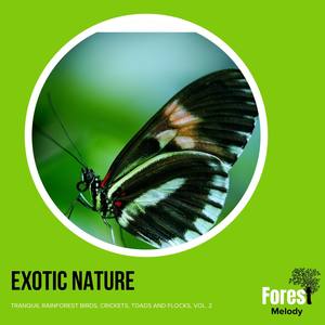 Exotic Nature - Tranquil Rainforest Birds, Crickets, Toads and Flocks, Vol. 2