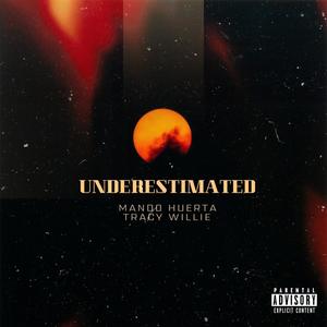 Underestimated (feat. Tracy Willie) [Explicit]