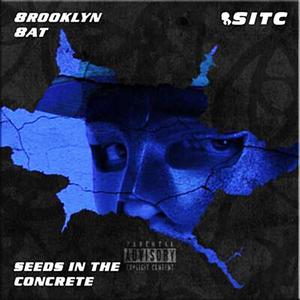 Seeds In The Concrete: Soundtrack (Explicit)