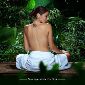 New Age Relaxation 101(Serenity Spa Music)