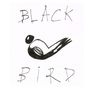 Blackbird