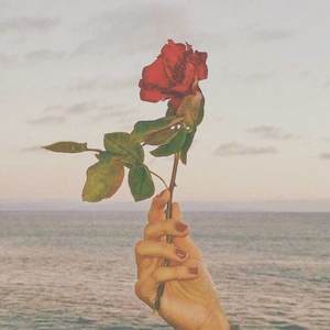 1211图书馆freestyle