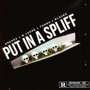 Put In A Spliff (Explicit)