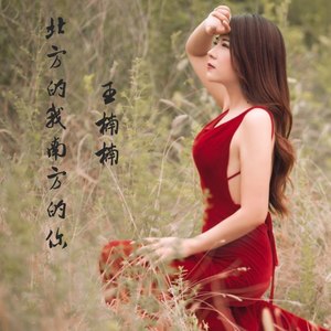 在北方等你