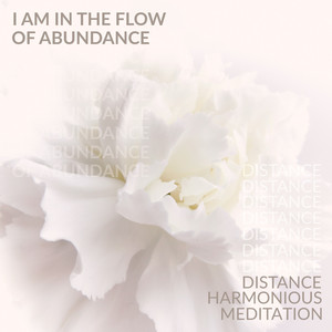 I Am in the Flow of Abundance: Distance Harmonious Meditation, Living in the Flow and Activation of the Flow