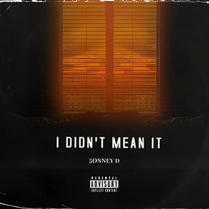 I Didn't Mean It (Explicit)