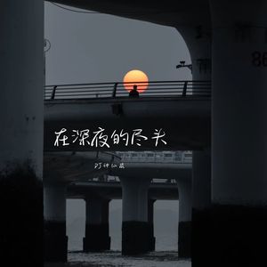 在深夜的尽头