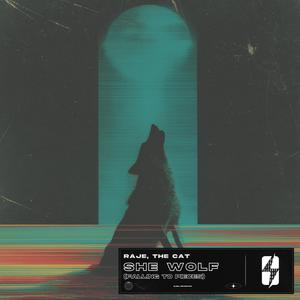 She Wolf (Falling To Pieces) (Extended Mix)