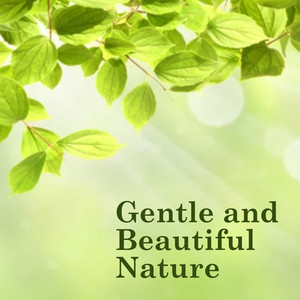 Gentle and Beautiful Nature, Vol. 1