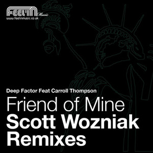 Friend of Mine-1 (Scott Wozniak Instrumental Mix)