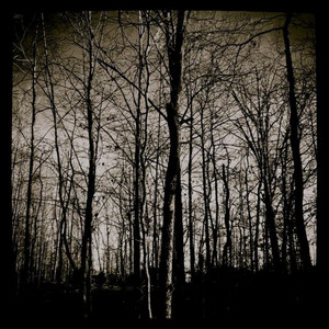 Dissension Among the Angered