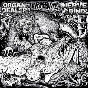 Organ Dealer/ Nerve Grind/ Invertebrate (Explicit)