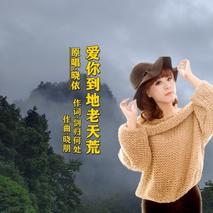 爱你到地老天荒封面