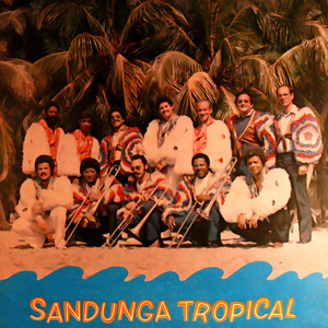 Conjunto Sandunga Tropical