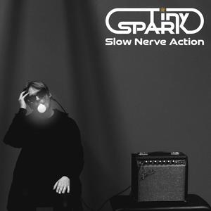 Slow Nerve Action