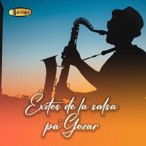 Éxitos de la Salsa Pa' Gozar