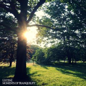 Moments of Tranquility (feat. Enzo Orefice)
