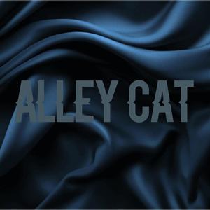 Alley Cat