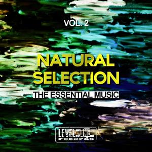 Absolute Power (Original Mix)