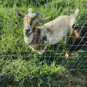 wipe me down (standin next to God) (Explicit)