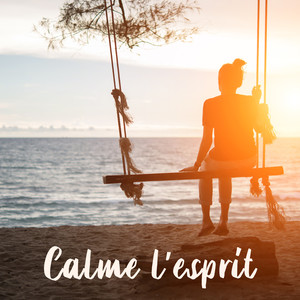 Calme l'esprit: Musique paisible pour dormir profondément, guérir de l'insomnie, des sons de guérison pour la relaxation